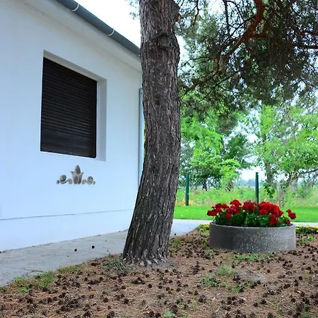 Dve Kuce Pored Jezera Pensiune Palić