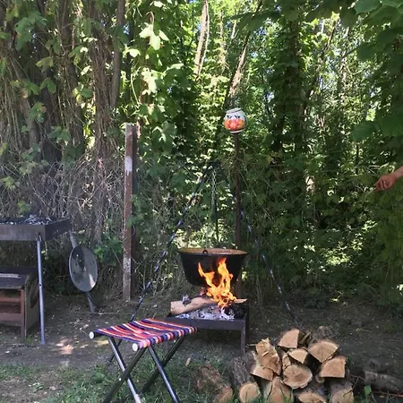 Dve Kuce Pored Jezera Palić