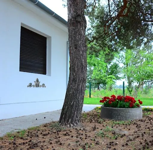 Dve Kuce Pored Jezera Pensiune Palić