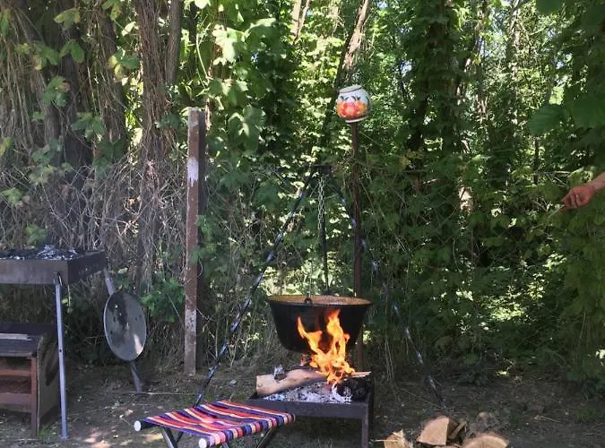 Dve Kuce Pored Jezera Palić