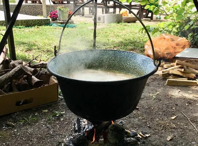 Pensiune Dve Kuce Pored Jezera 2*